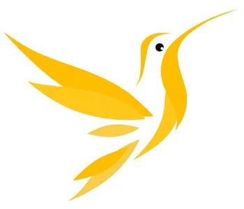 amber academy logo